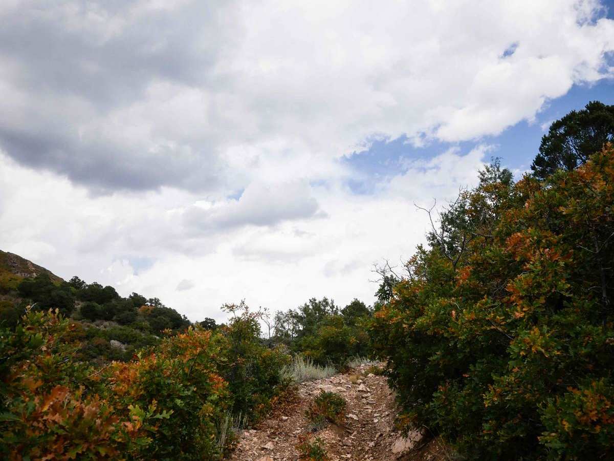 6057A ATV photo 3