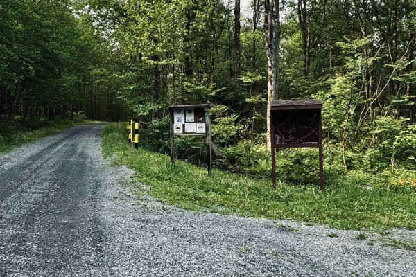 Clear Shade Road