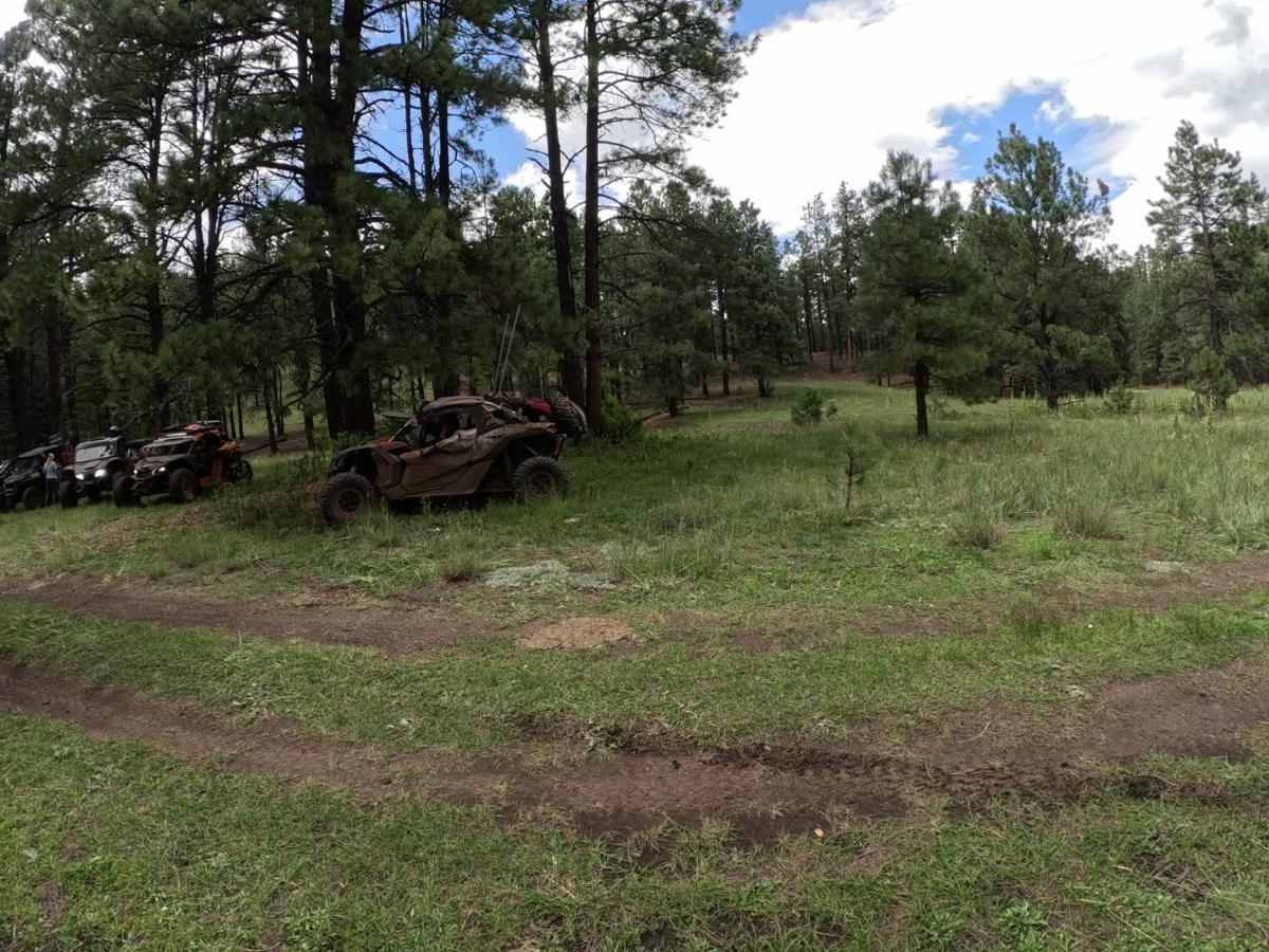 Homestead Loop photo 2