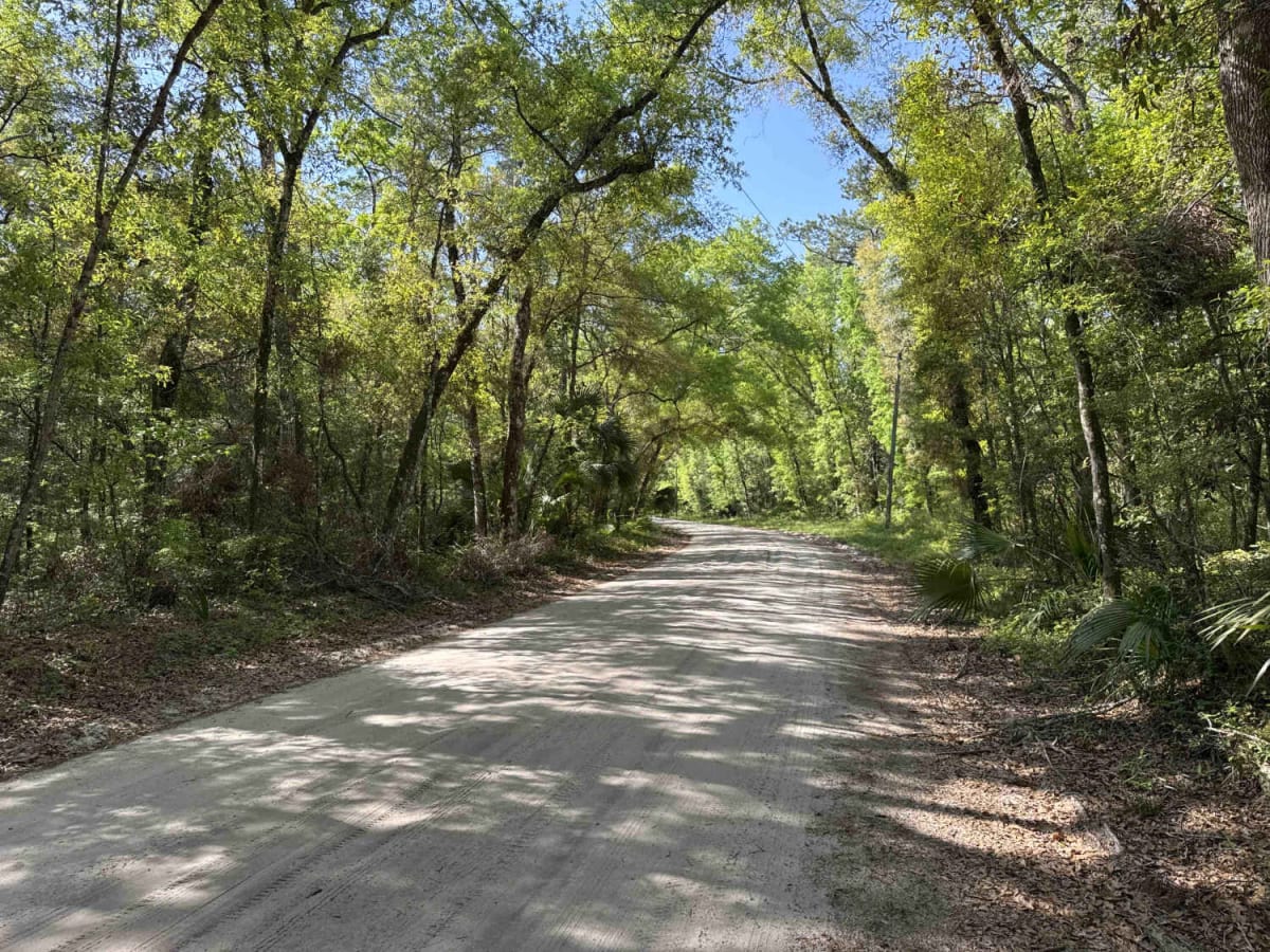 Wakulla Beach trail photo