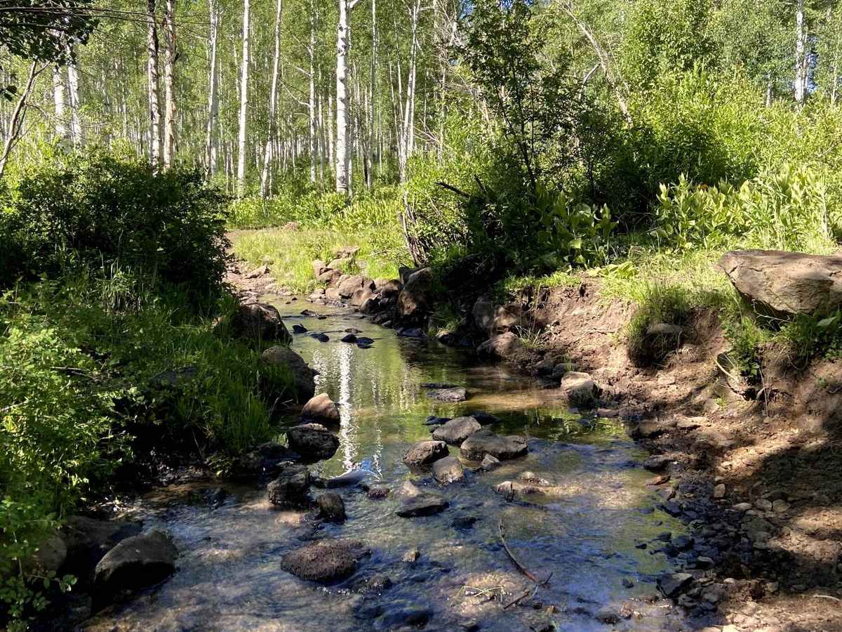 West Green Mountain Trail (#719) photo 3