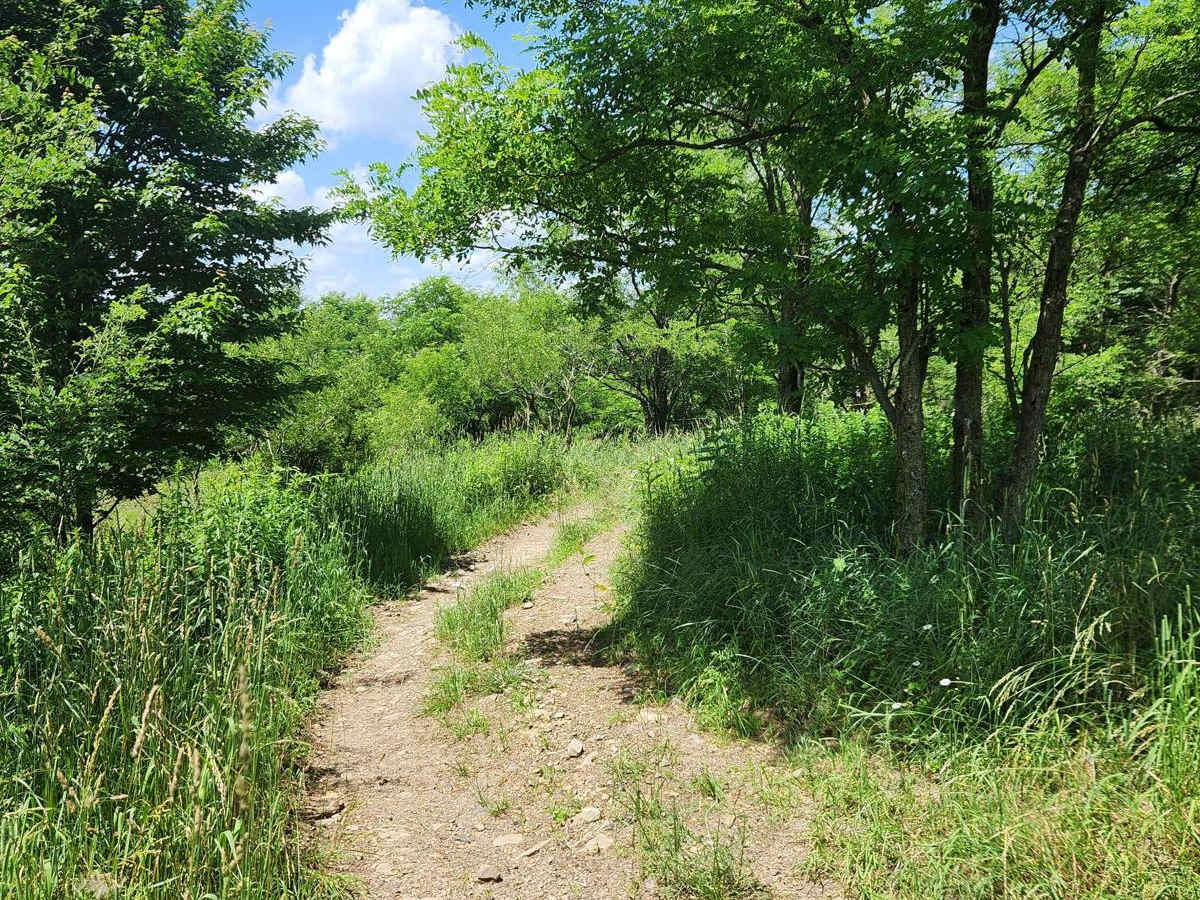 Trail 8B - Rock Run Recreation Area photo 5