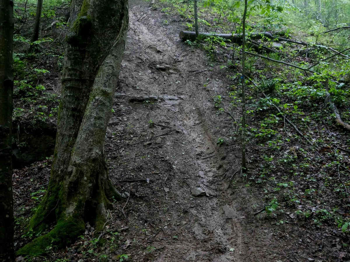 T43 trail photo