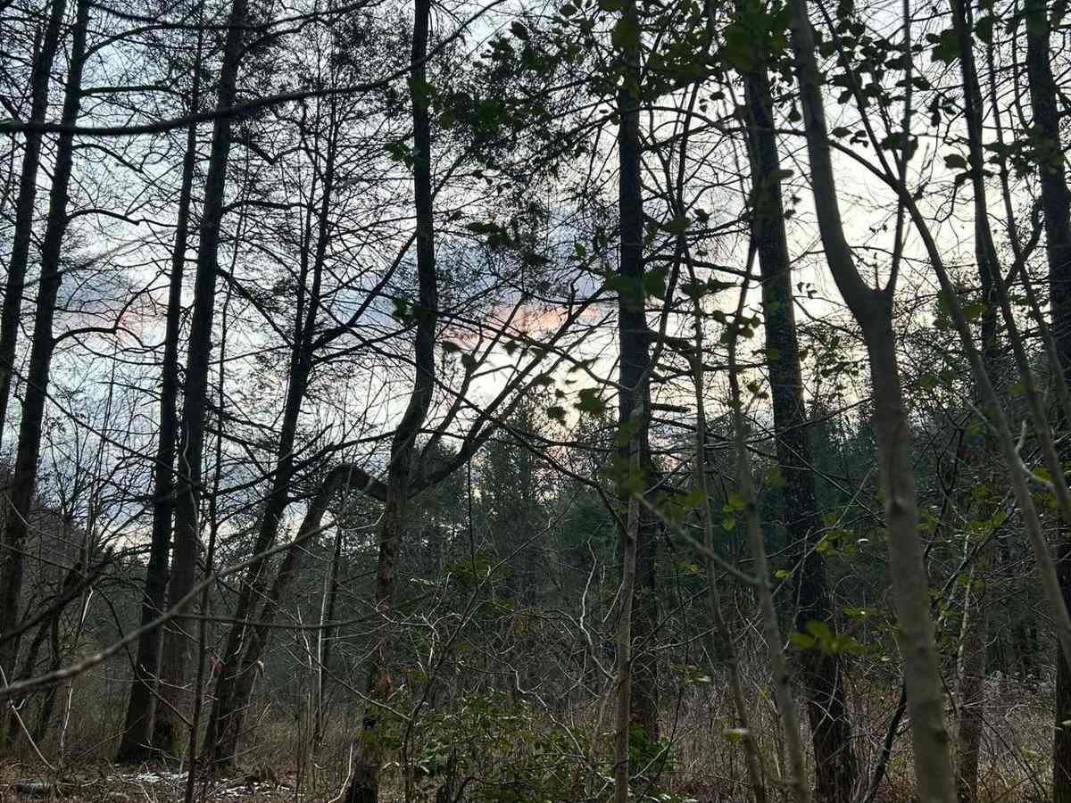 Paint Pond Trail photo 6