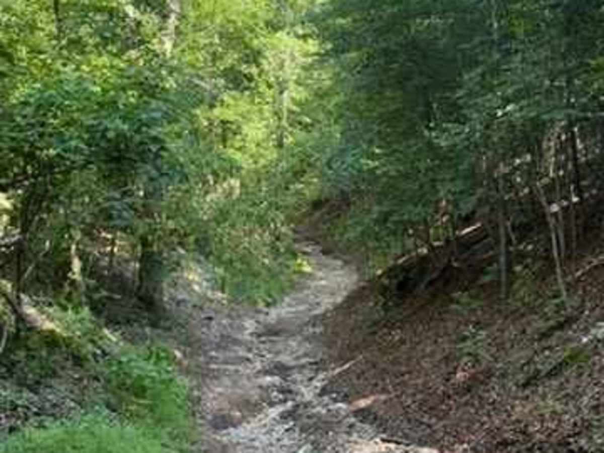 Blake's Trail 2.0 photo 6