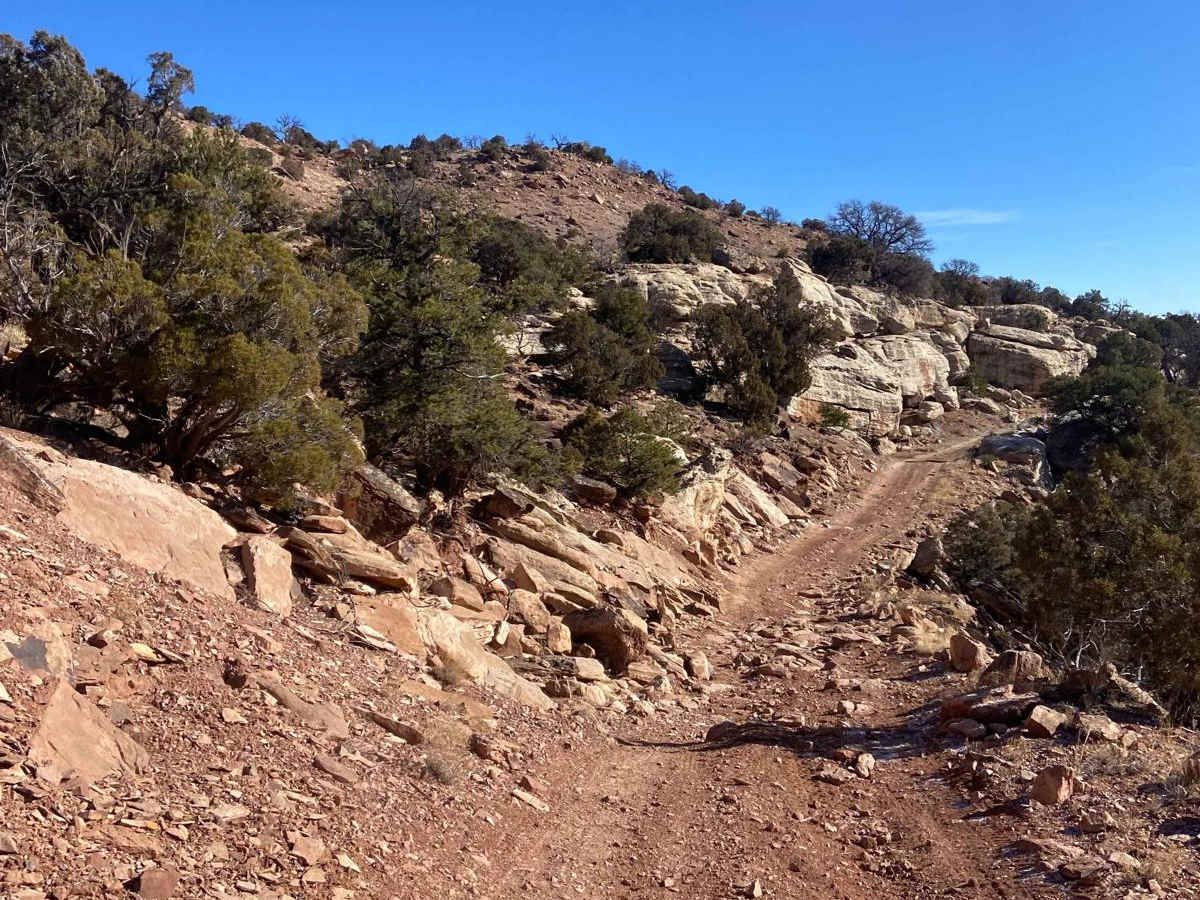 BLM Route 31 photo 3