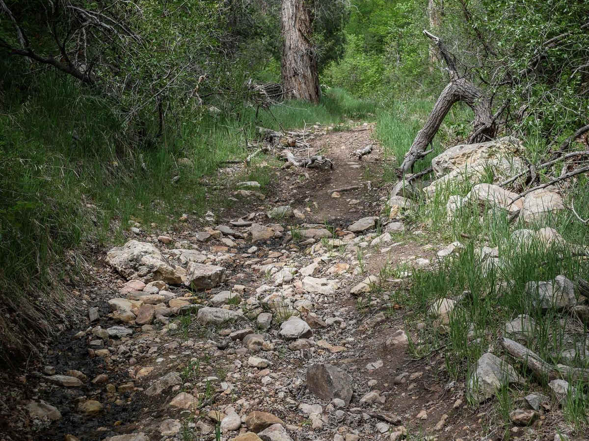 Long Hollow ATV photo 2