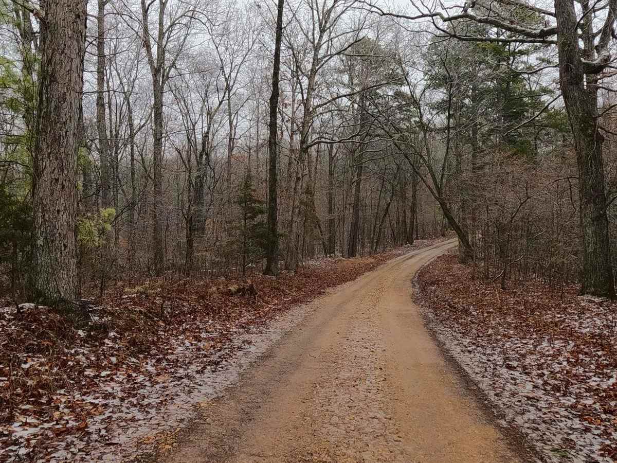 Timber Lane - FS 2514 photo 4