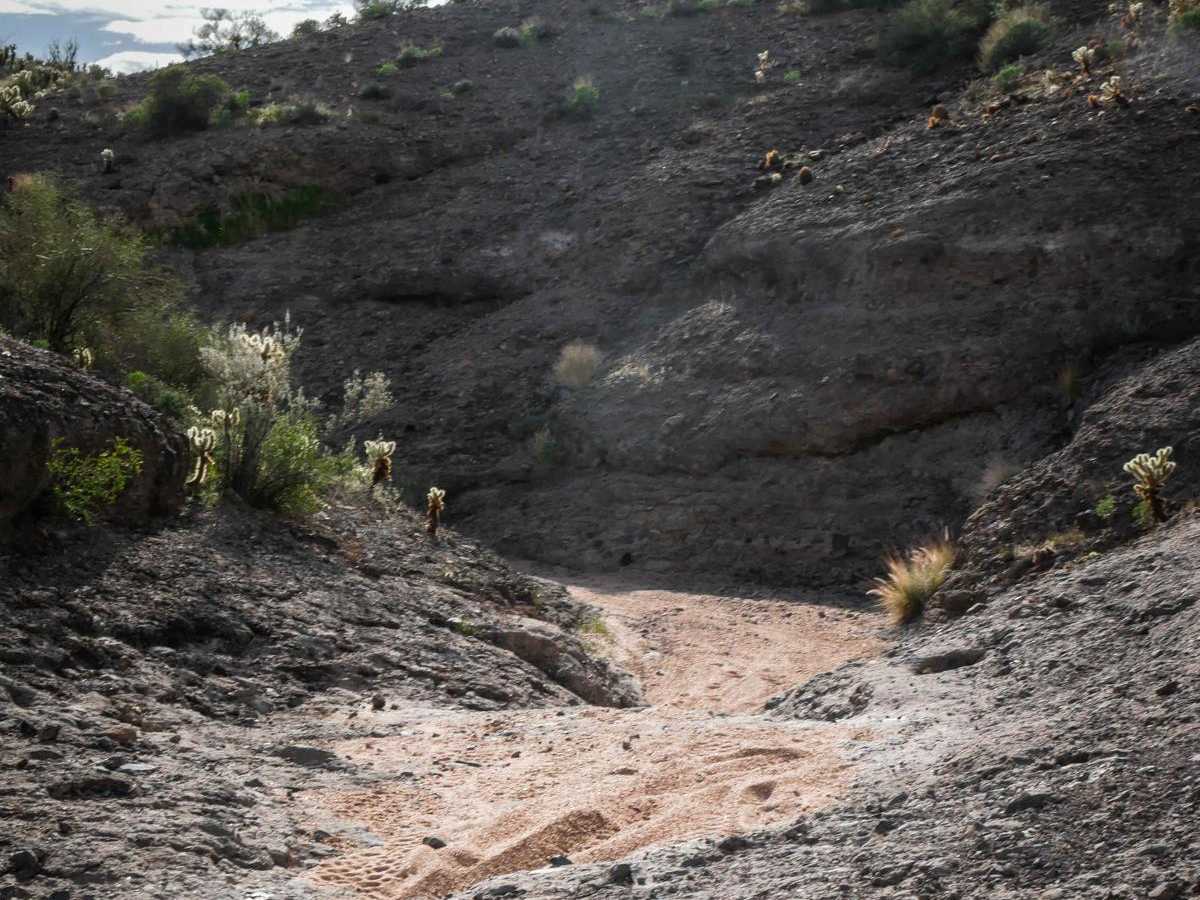 U2216 trail photo