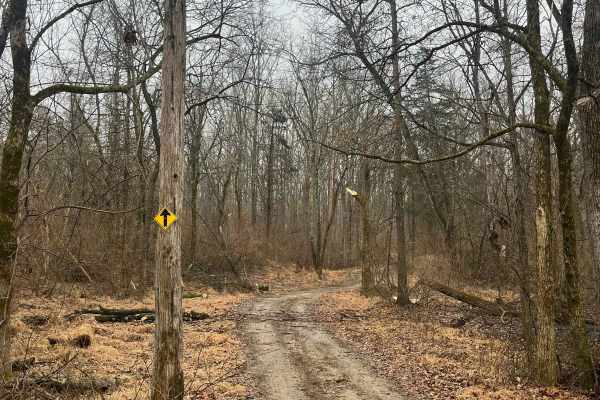 Family Trail