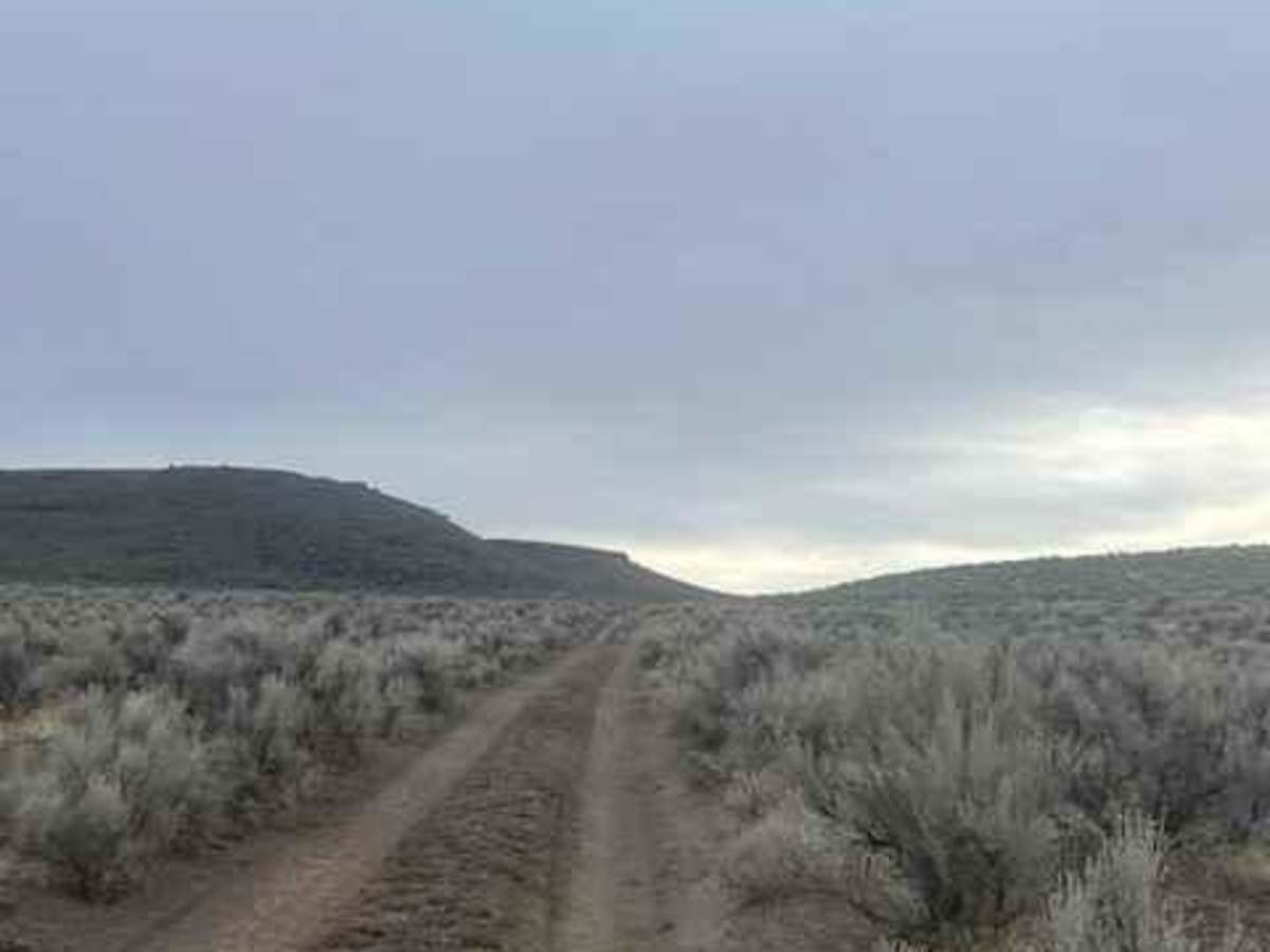 Dry Valley Rim photo 4