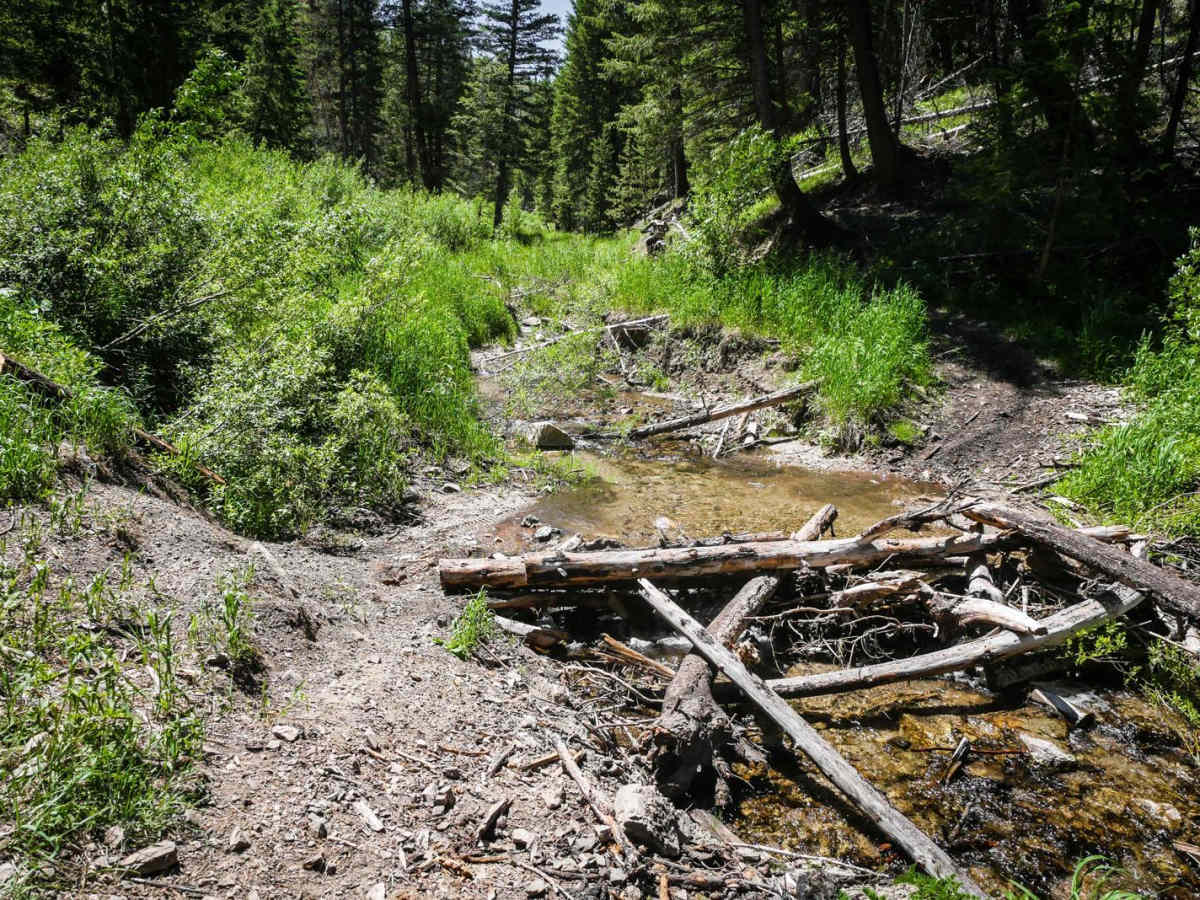 Kinsey Creek ATV Trail photo 6