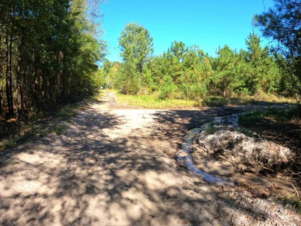 Radke Road photo 2