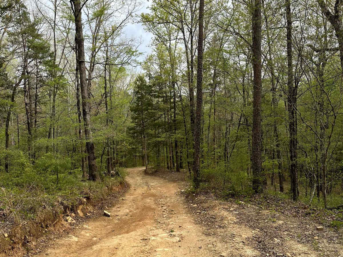 Trail 18 photo 6