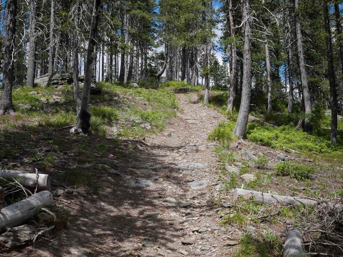 Slate Peak ATV photo 4