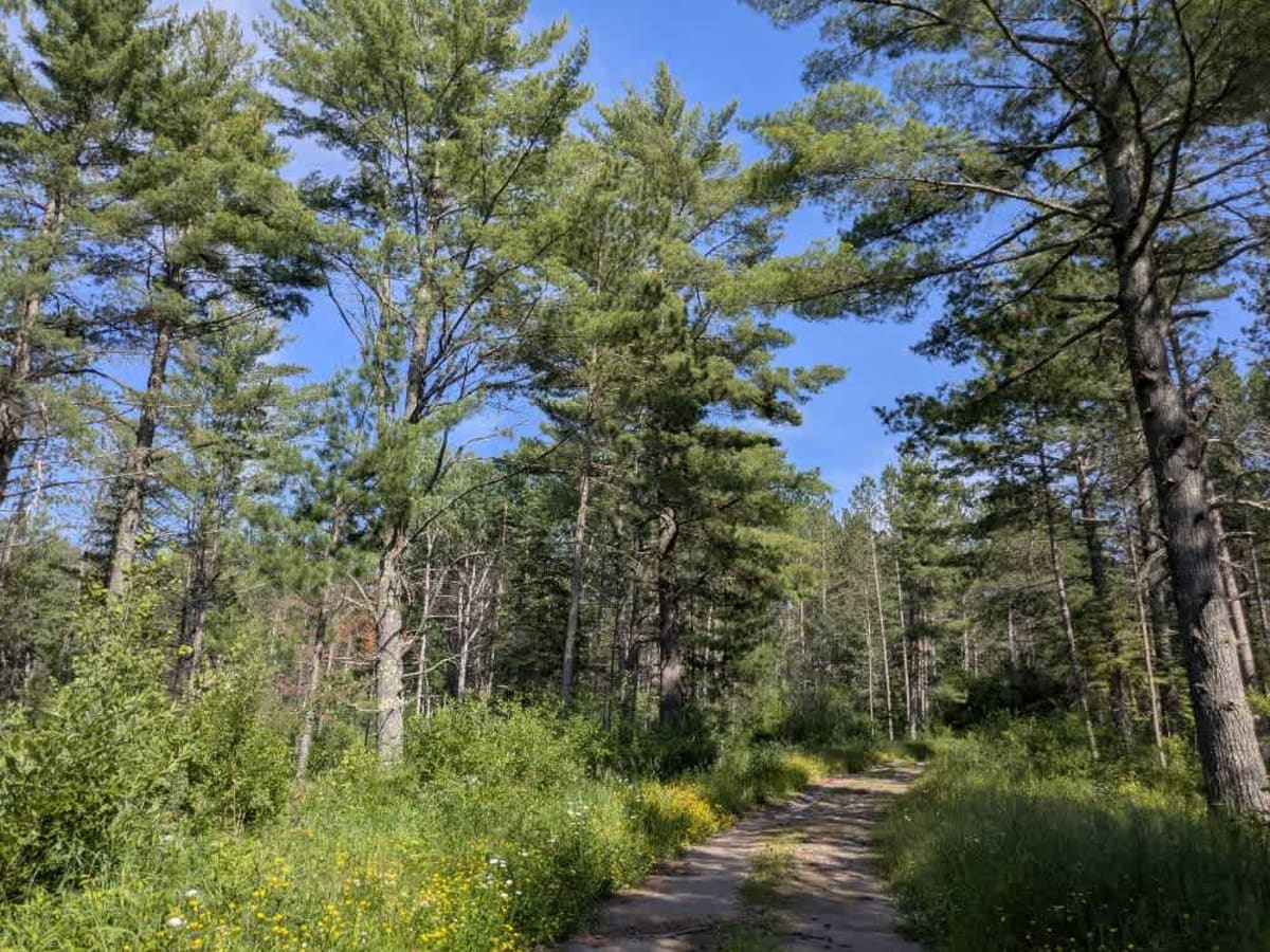 Mooseline Spur K photo 6