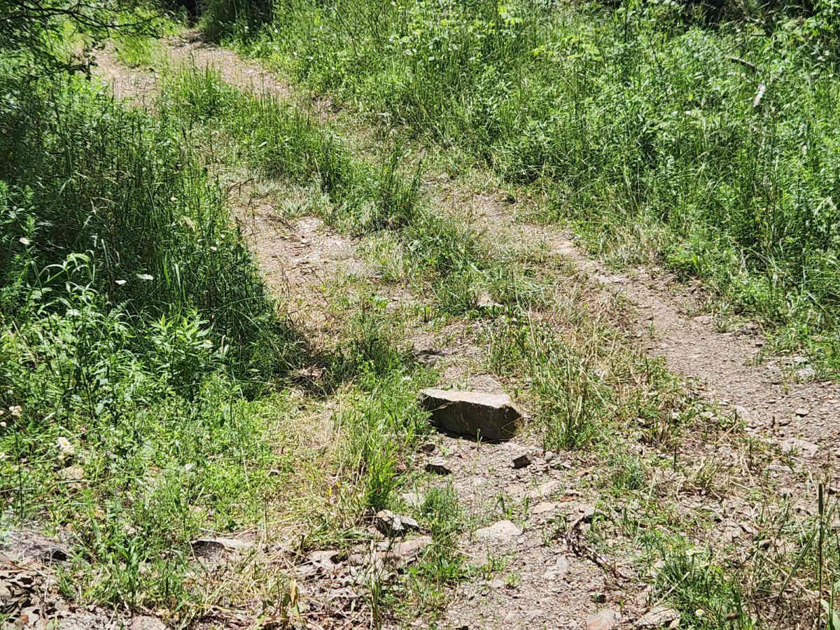 Trail 9B - Rock Run Recreation Area photo 6