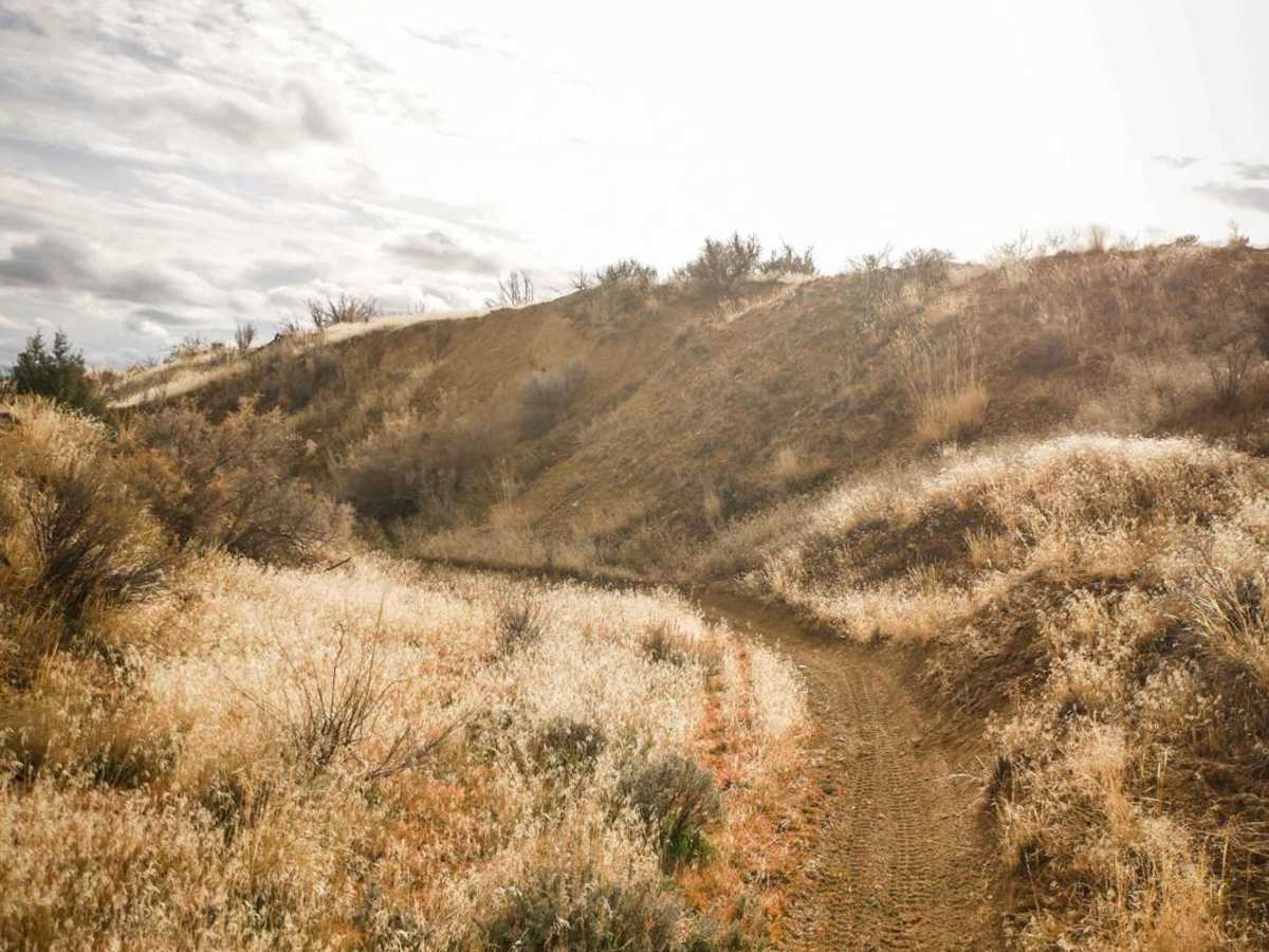 Trails 135 and 136 photo 6