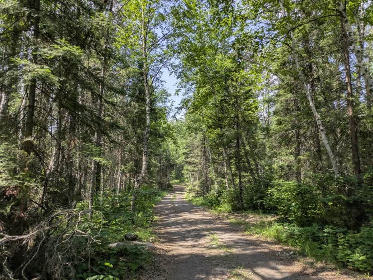 Edward Lake photo 6
