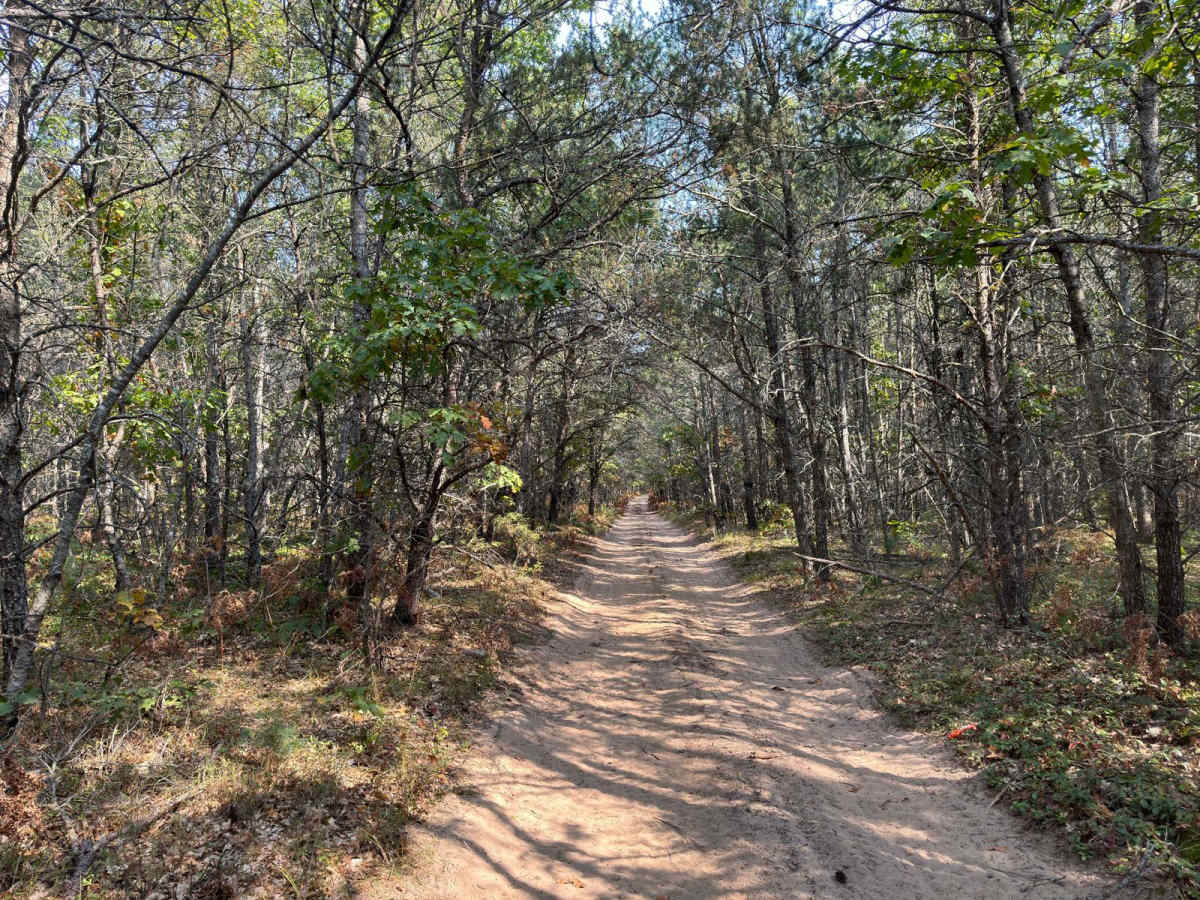 Jack's Trail photo 3