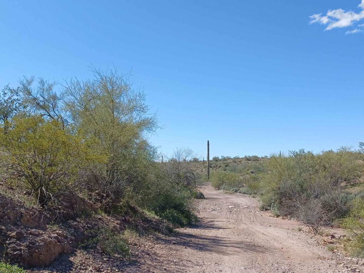 8113B Cemetery Road photo 5