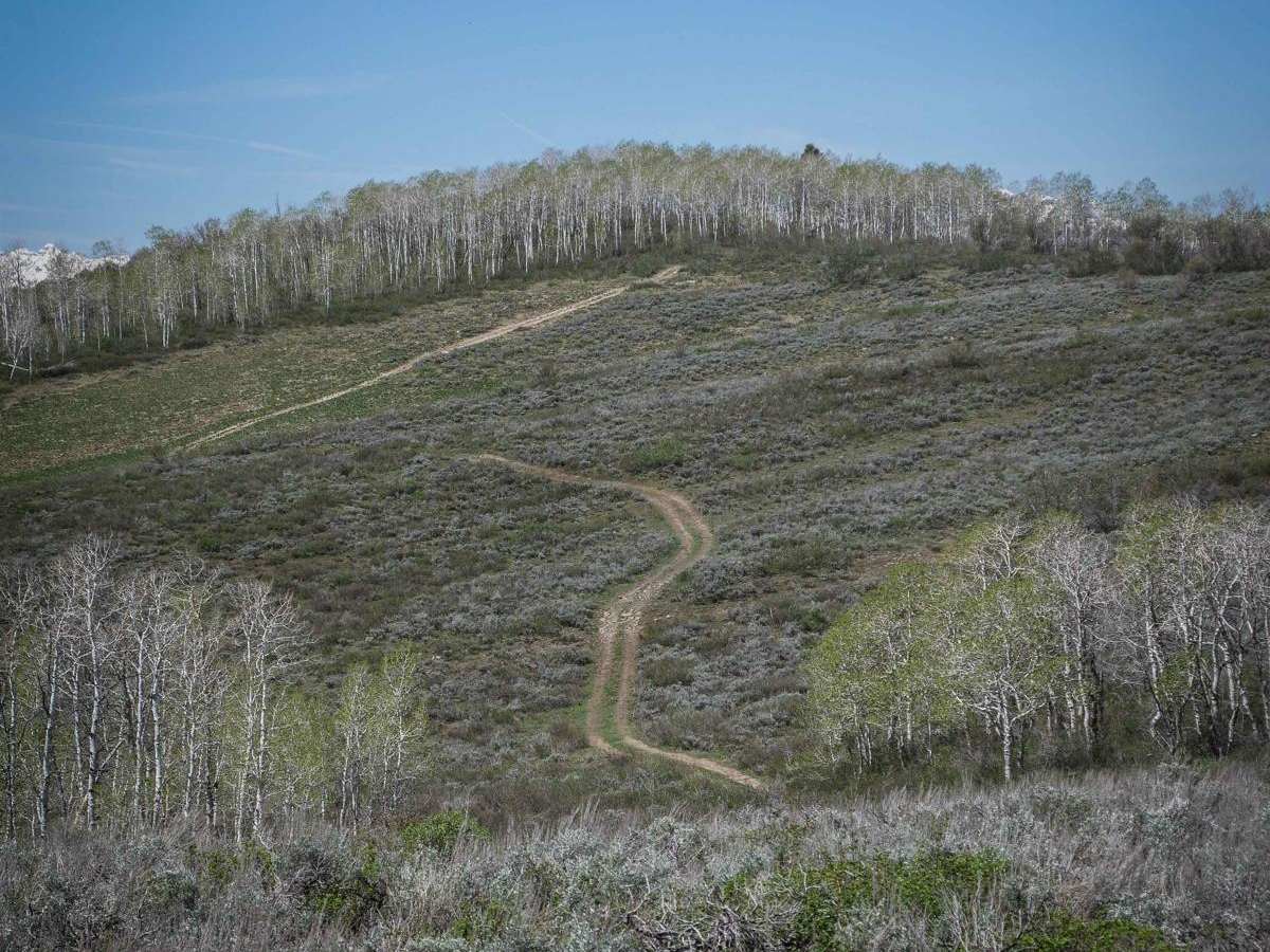 ATV Private photo 5