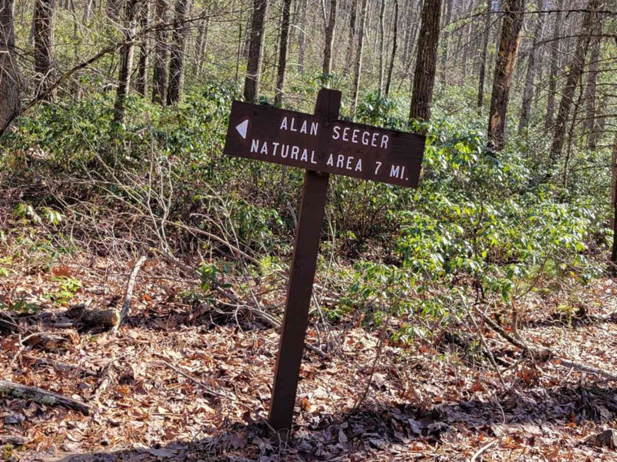 Beidleheimer Trail photo 5