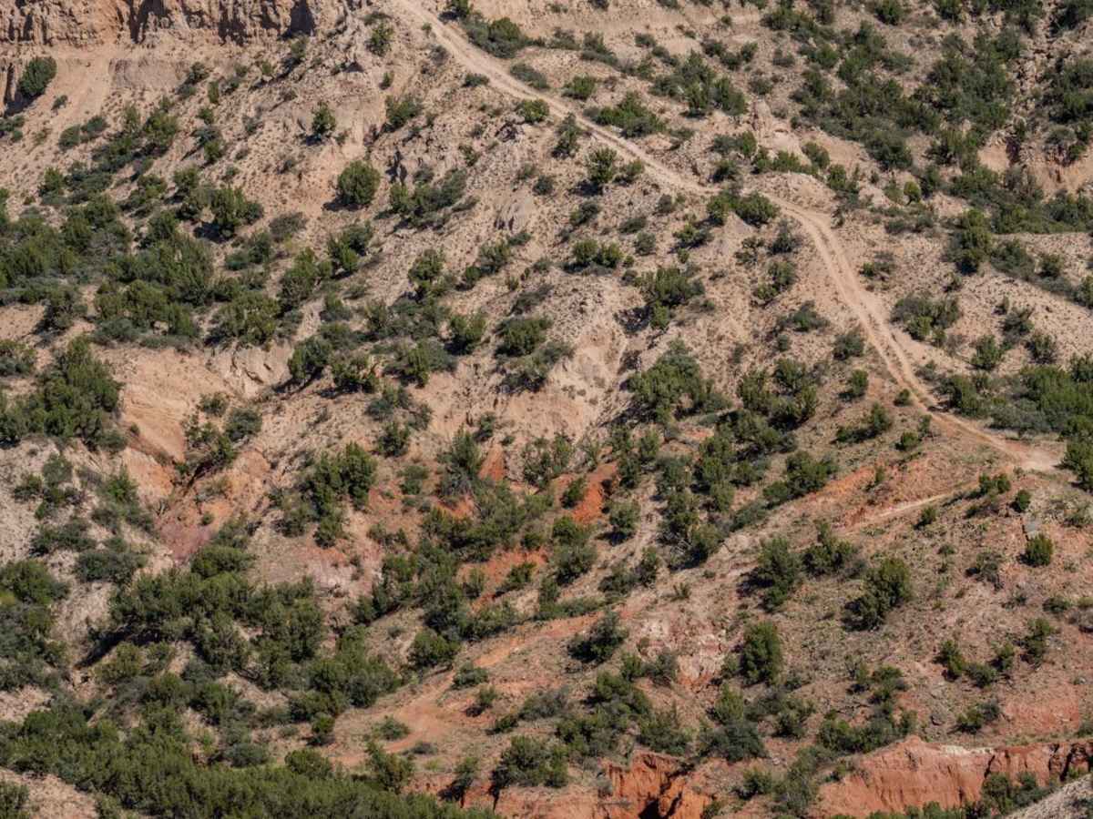 Drop Zone trail photo