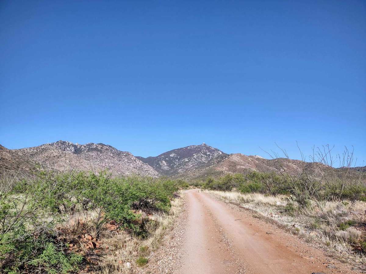 Forest Road 183 photo 3