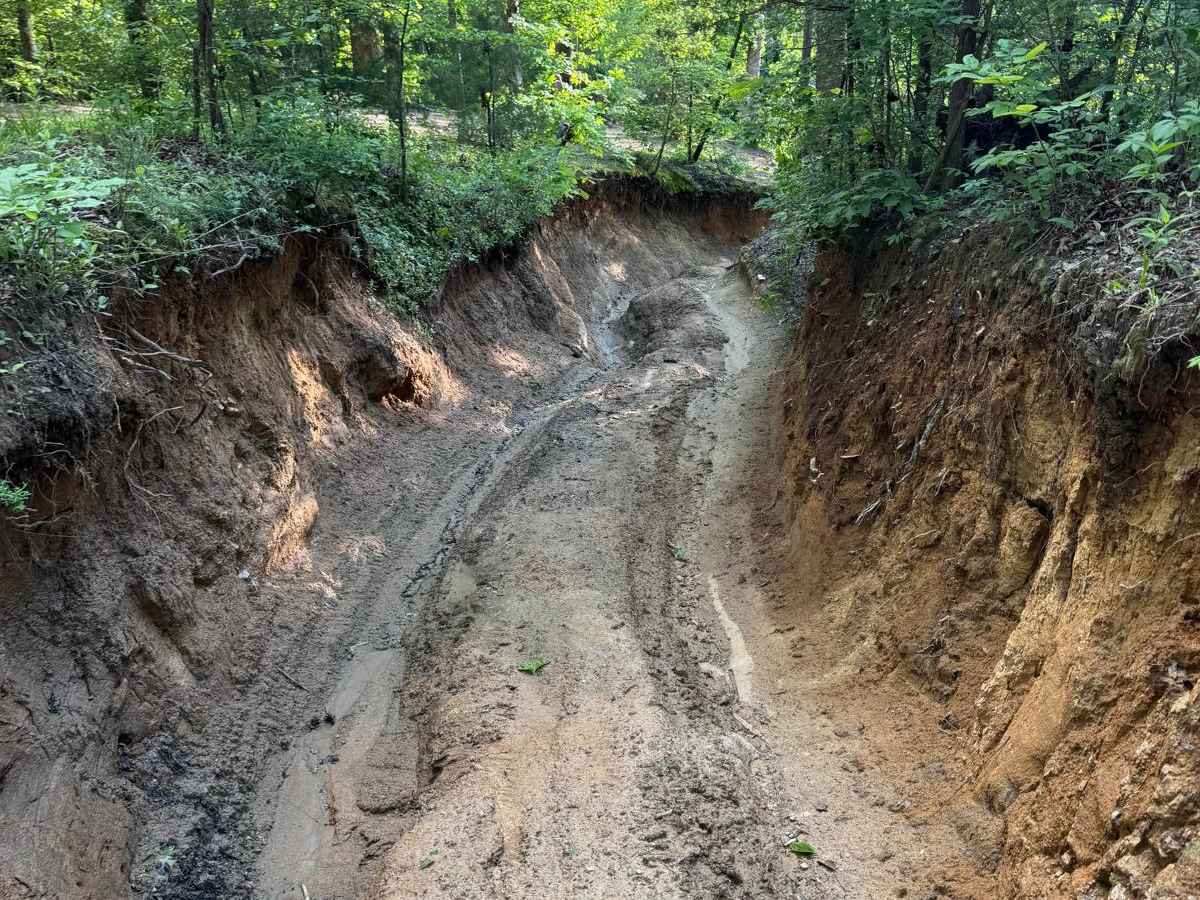 Oak's Detour photo 4