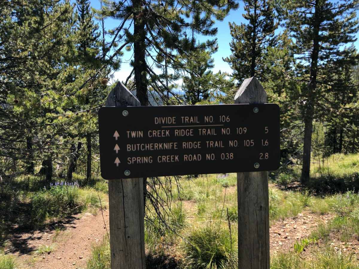 Divide Trail #106 to Twin Creek Ridge Trail photo 4