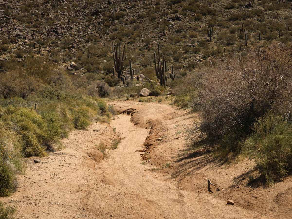 Multi-Mine Road photo 2