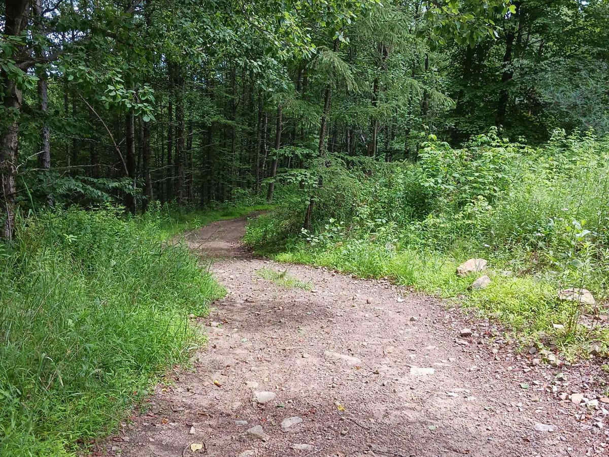 Trail 11H - Rock Run Recreation Area photo 6