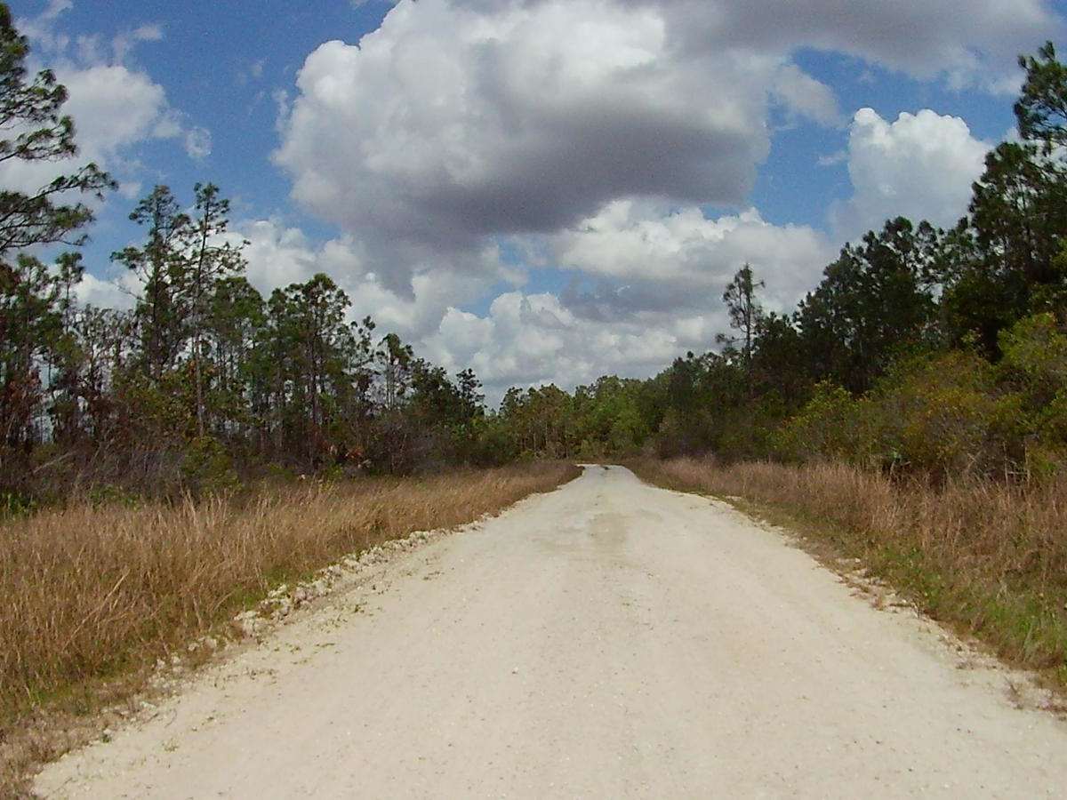 Patterson-Wildcow Crossover photo 6