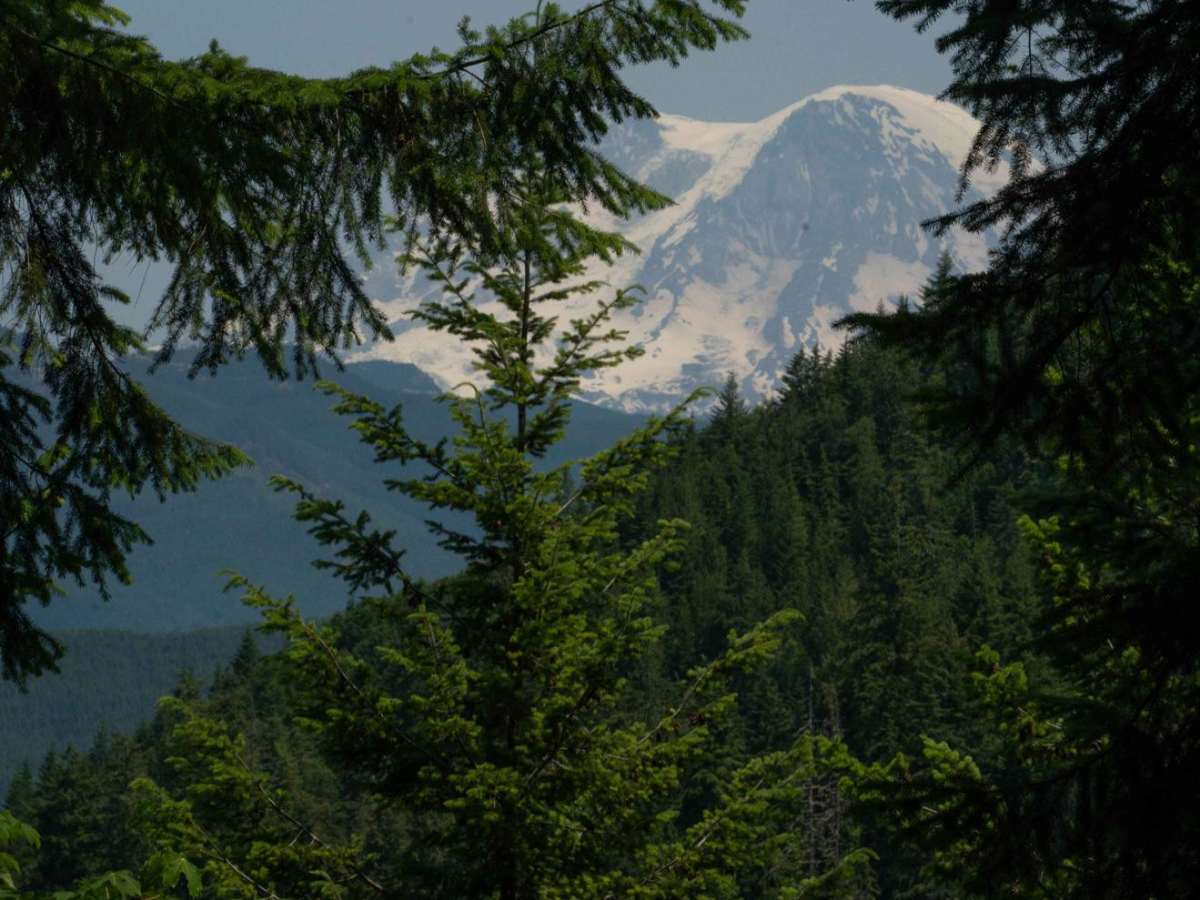 Goat Creek trail photo