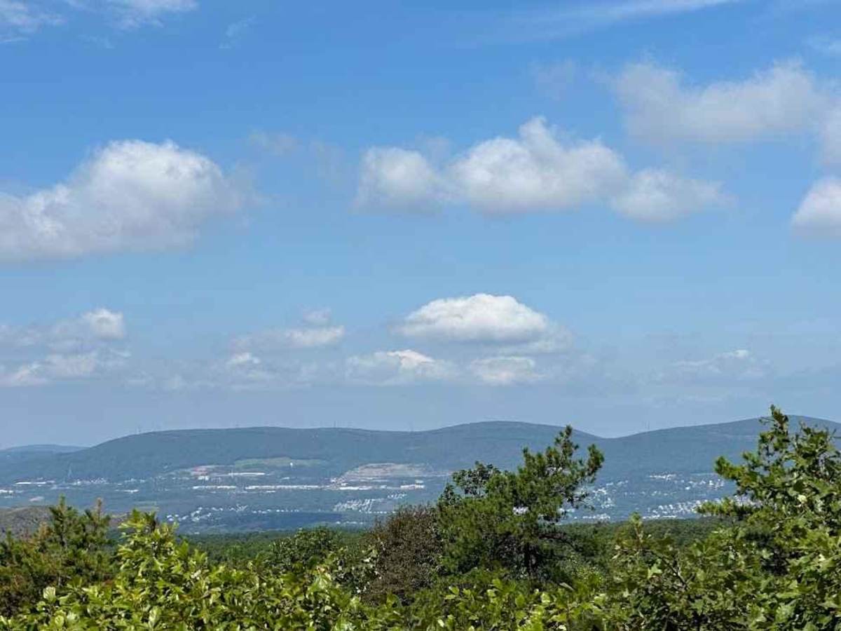 30 Blue photo 5