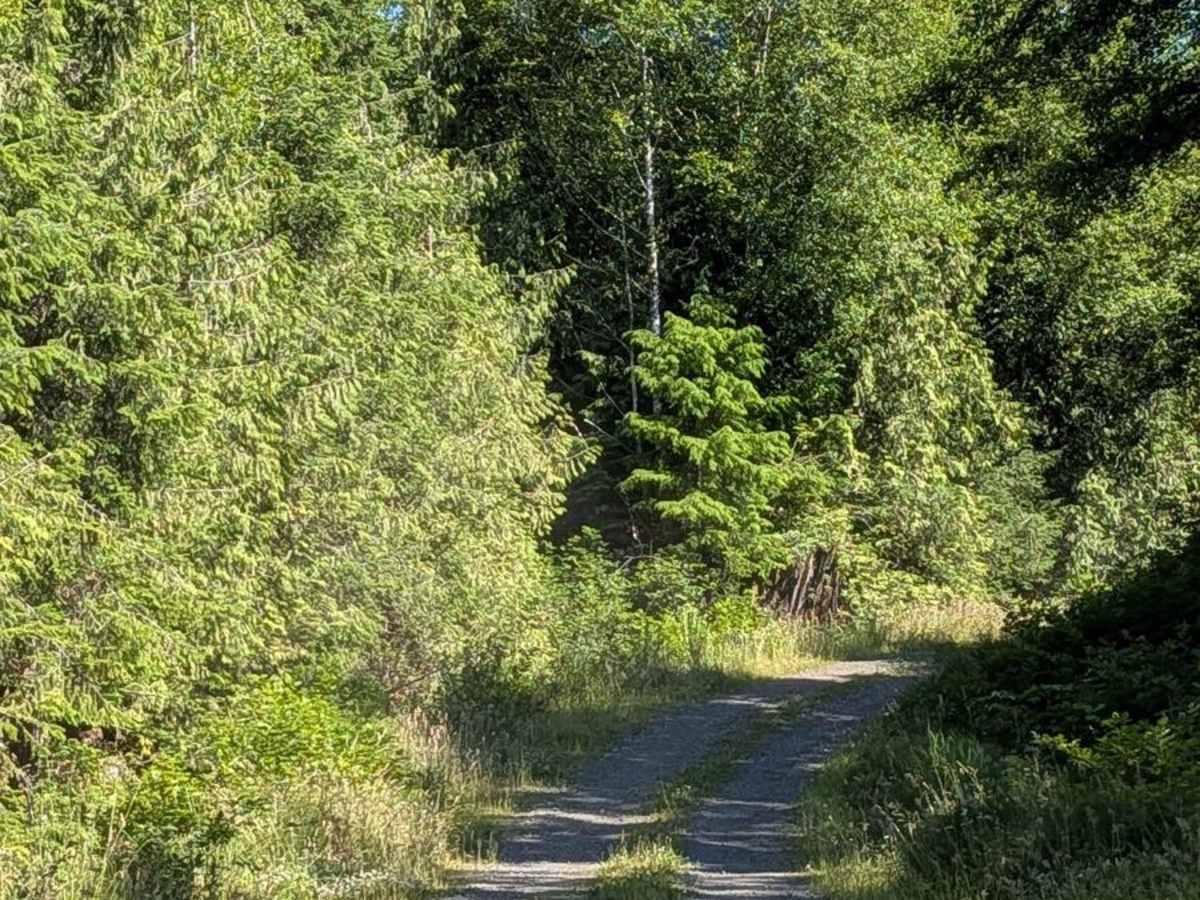Restless South Main trail photo