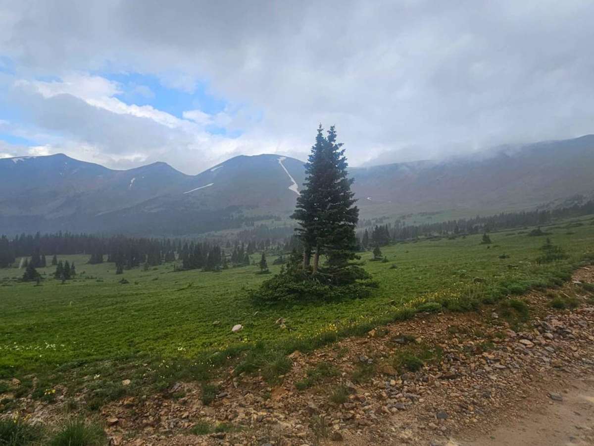 Webster Pass Road - FS 285 trail photo