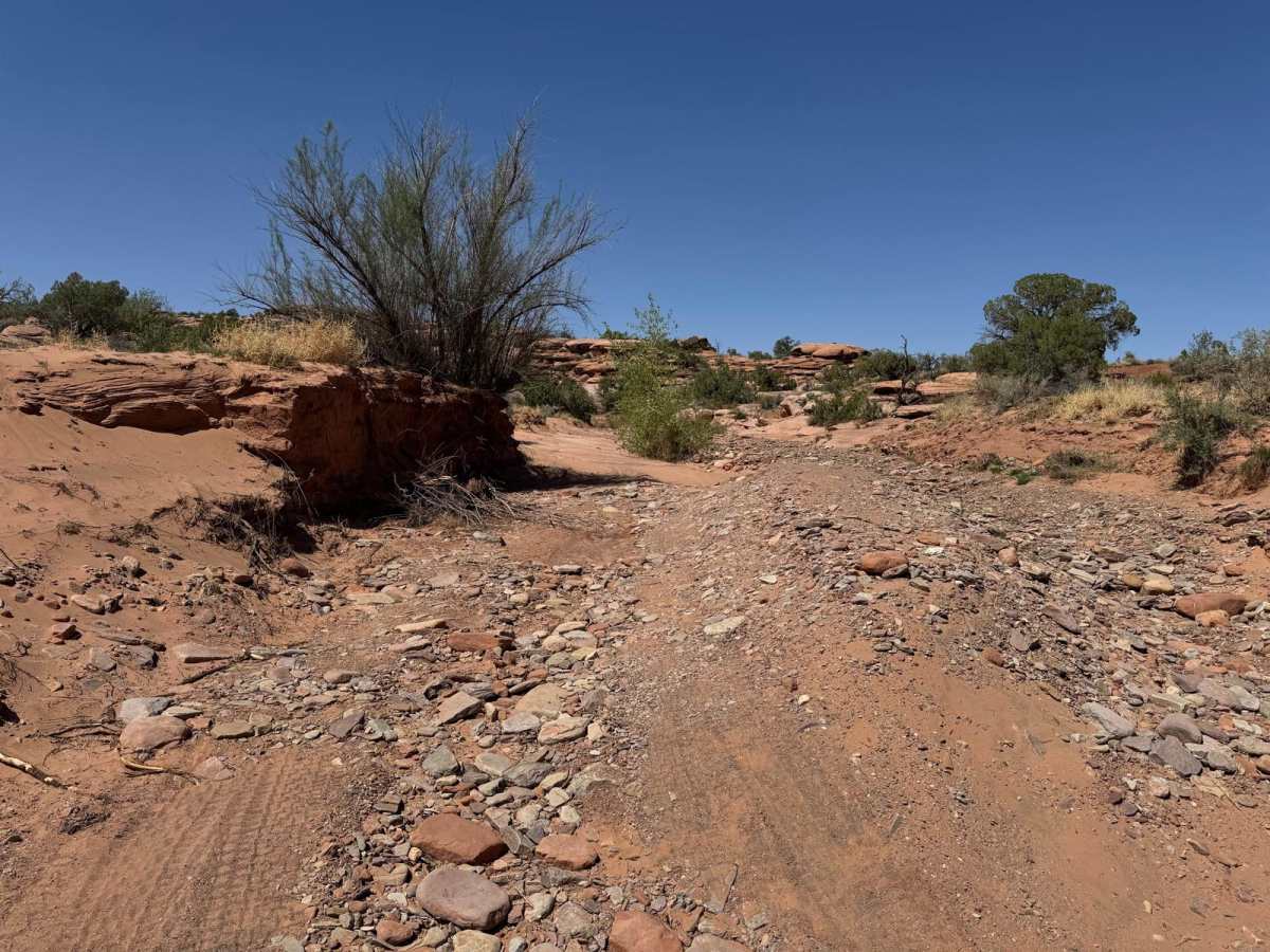 Dry Fork Bull Canyon trail photo