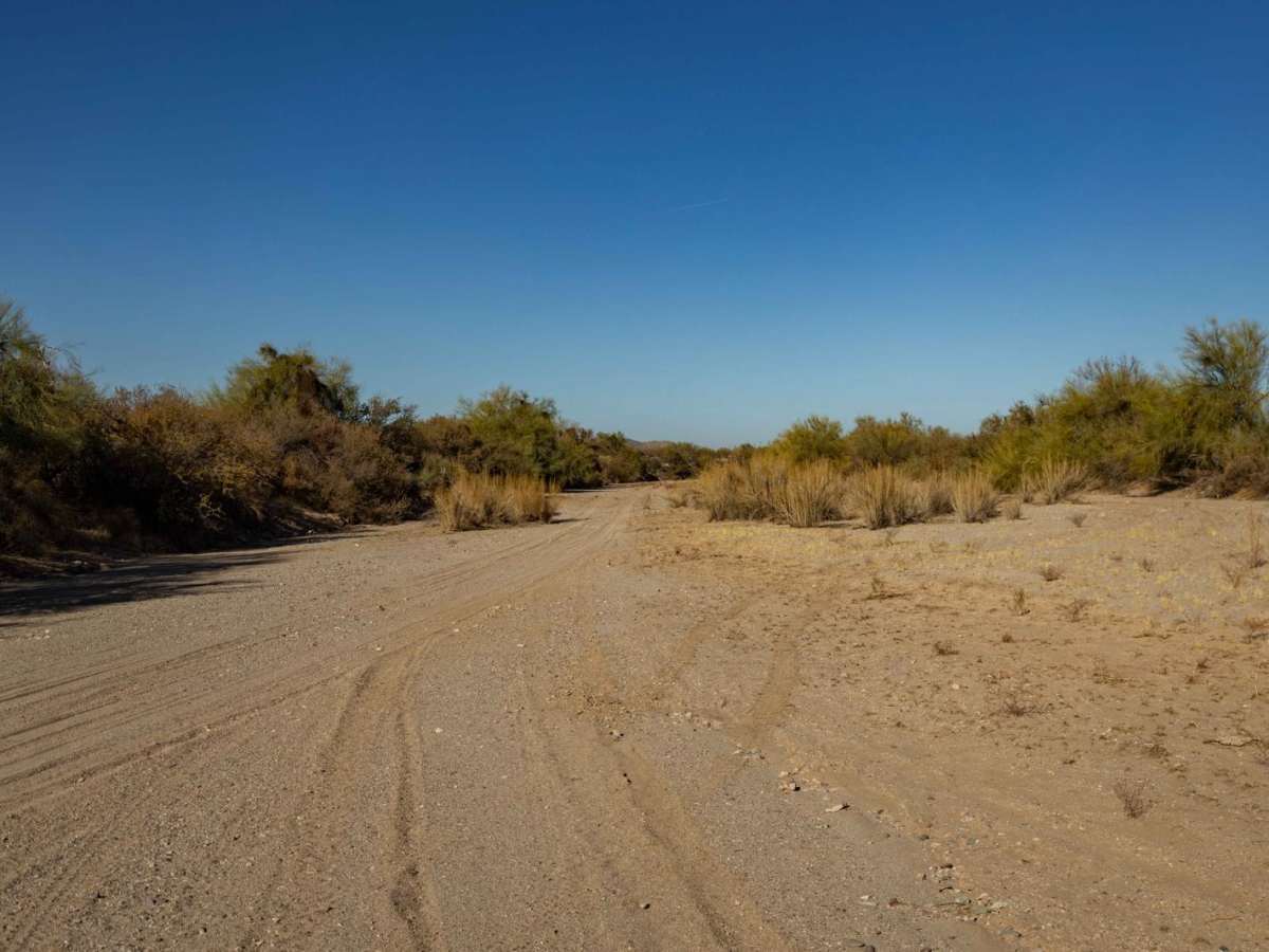Middle Jackrabbit Wash photo 6
