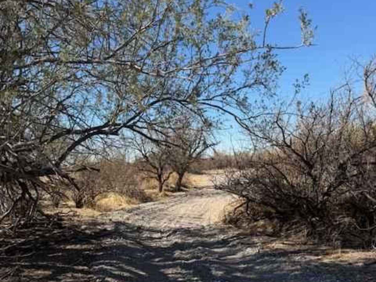 Nw2230 photo 6