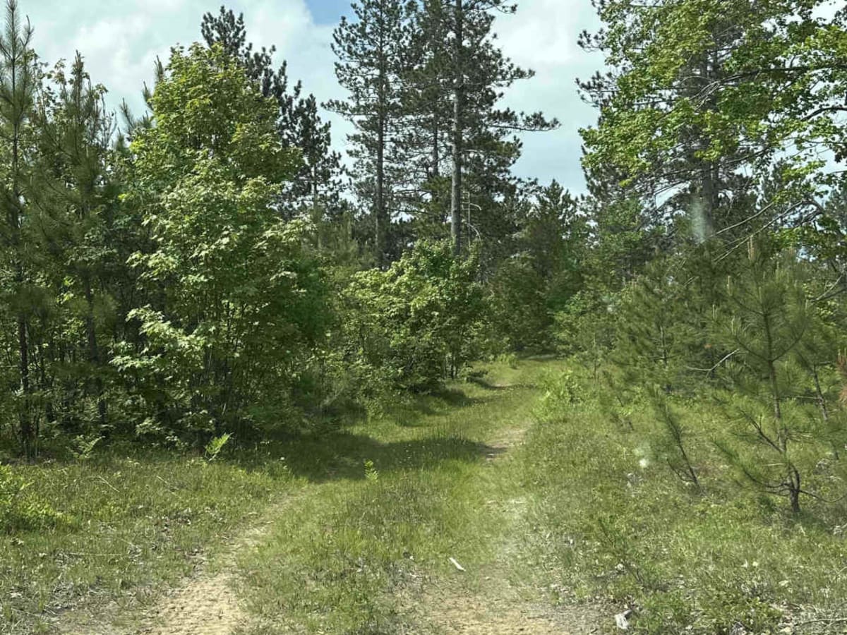 FS 3602 photo 5