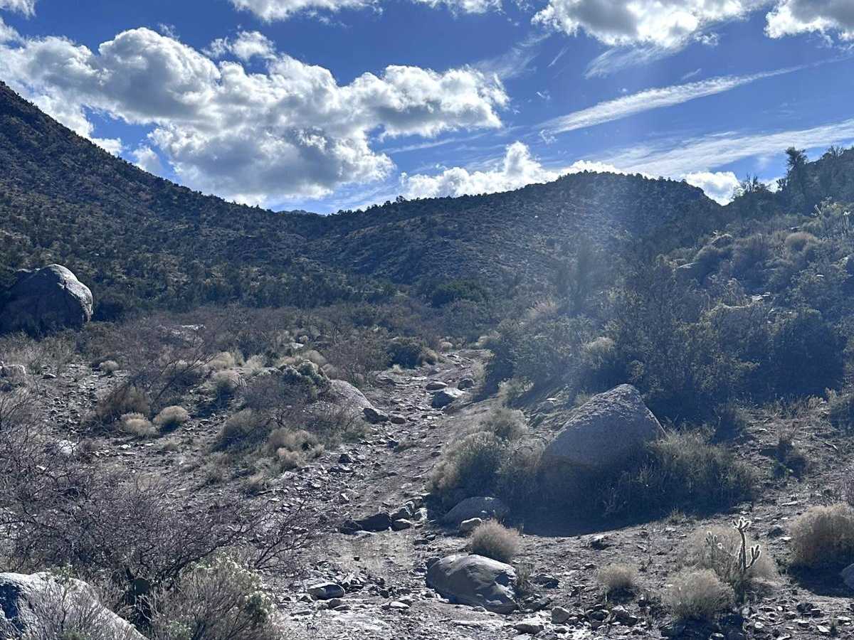 Yellow Flower Creek Loop photo 3