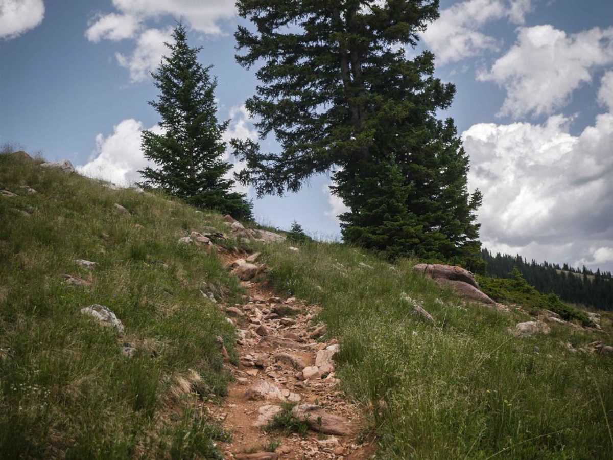 Fossil Ridge trail photo