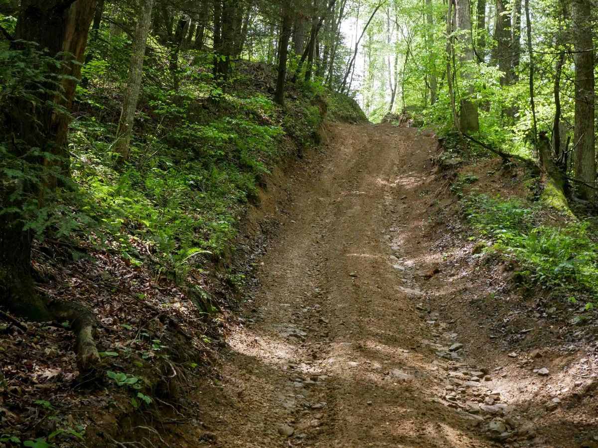 OP 86 trail photo