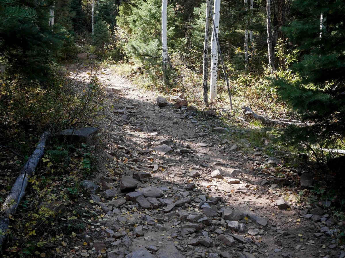 Chris Mountain photo 6