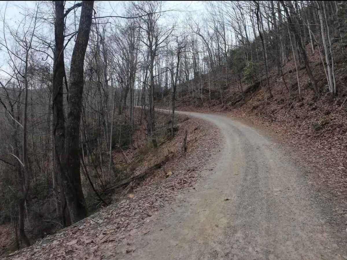 Tatham Gap Road - FS 423 trail photo