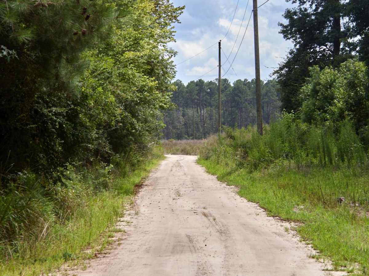 Orangeburg Road photo 5
