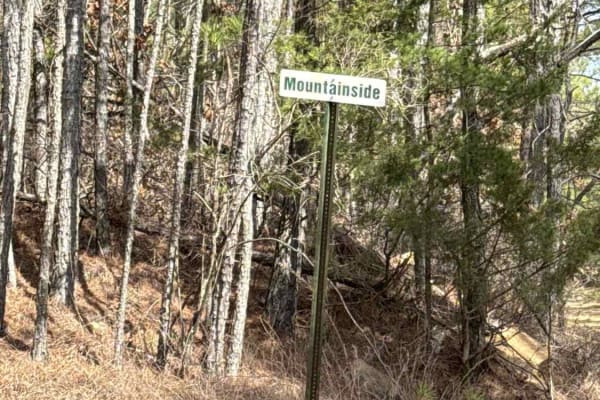 #6 Mountainside