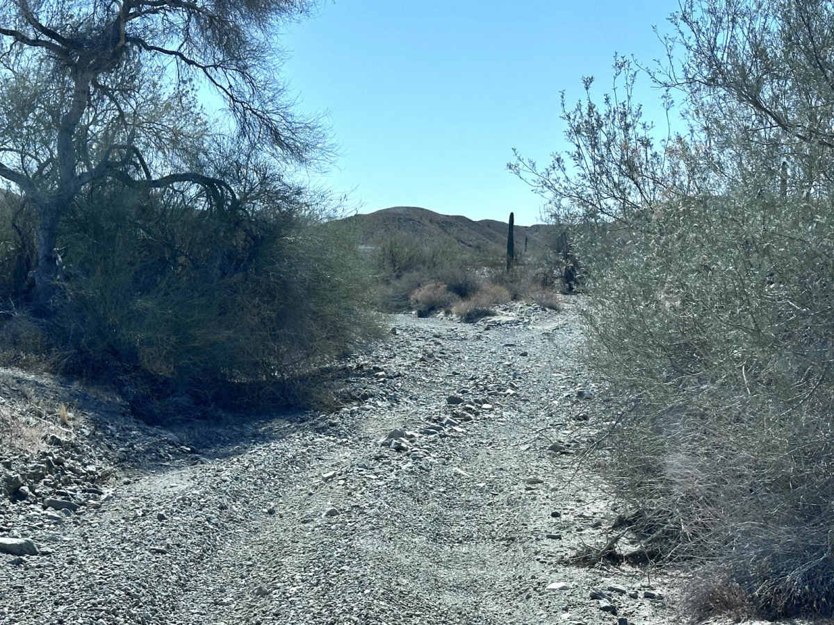 LCR1845 photo 3